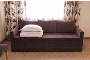 fold out sofa bed