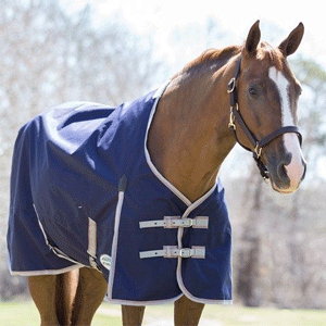  Horse Blankets & Sheets