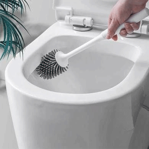  Toilet Bowl Cleaners