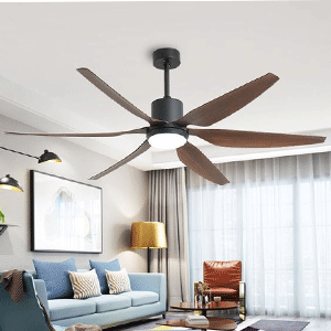  Ceiling Fans