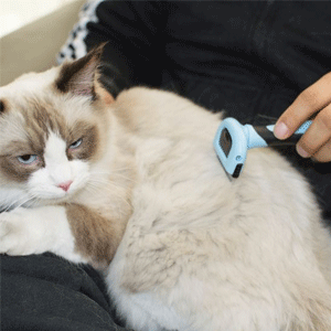 Pet Hair Trimmers