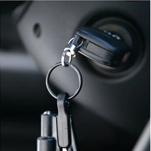  Vehicle Alarms & Locks