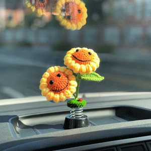  Vehicle Decor