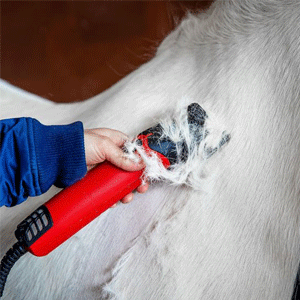  Horse Clippers & Trimmers