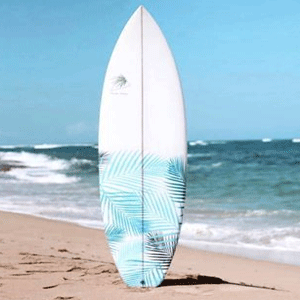  Surfboards