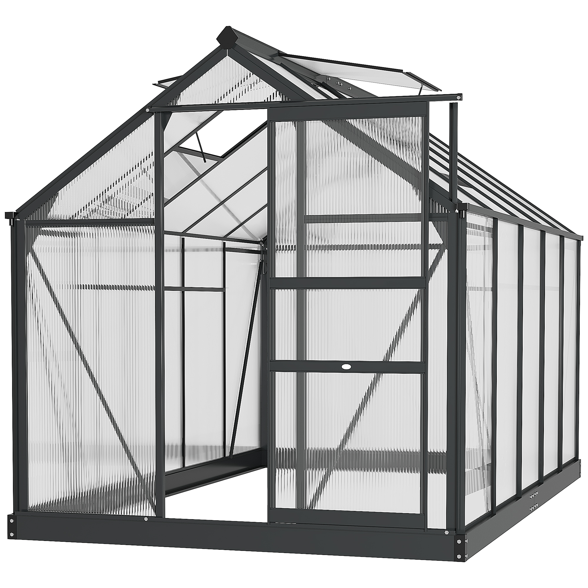 Clear Polycarbonate Greenhouse Large Walk-In Green House Garden Plants Grow Galvanized Base Aluminium Frame with Slide Door, 6 x 10ft - Life 
