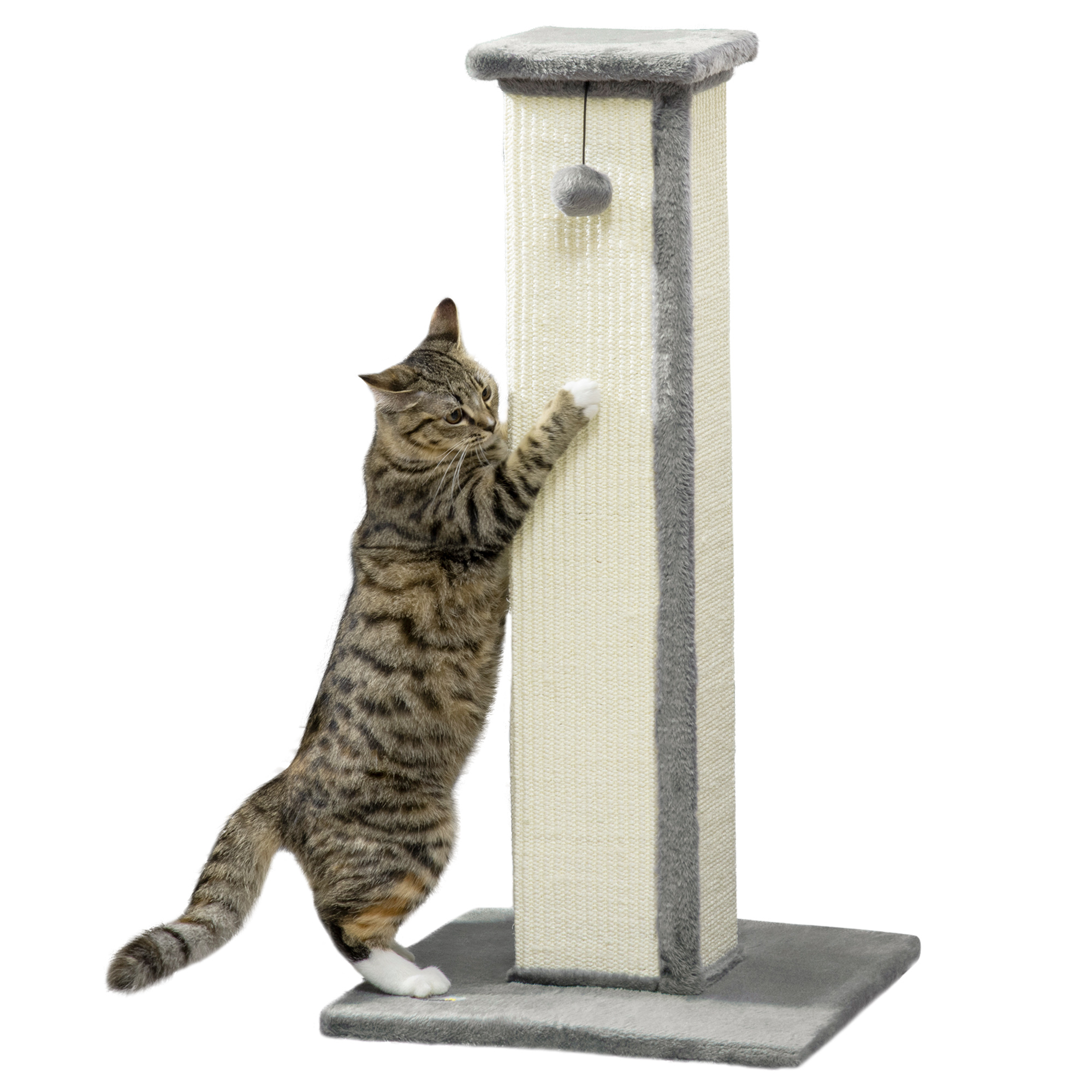 81cm Cat Scratcher, Vertical Full Scratcher with Natural Sisal Rope, Hanging Ball and Soft Plush, Grey - Life Essentials