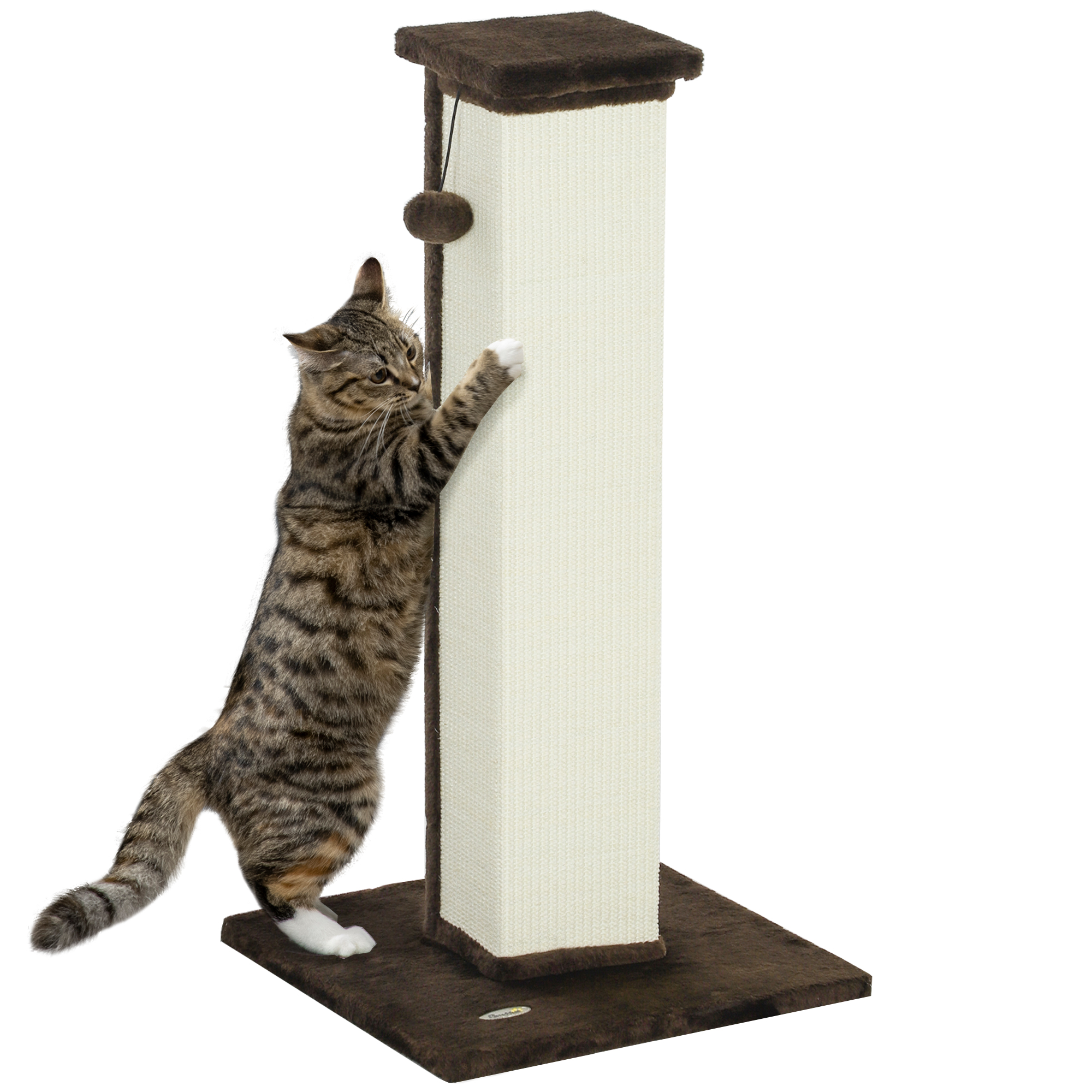 PAWSTER 81cm Cat Scratcher, Vertical Full Scratcher w/ Natural Sisal Rope, Hanging Ball, Soft Plush - Brown - Life Essentials