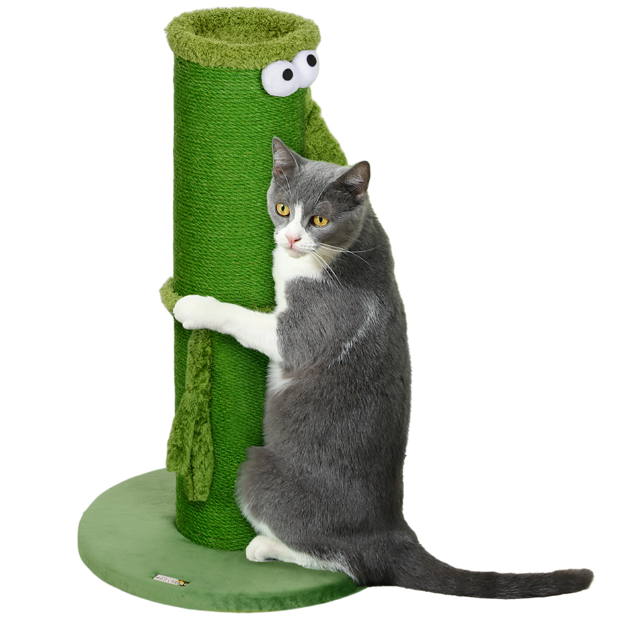 Cat Furniture - Pawzy 63cm Cat Scratching Post Green 39.5cm
