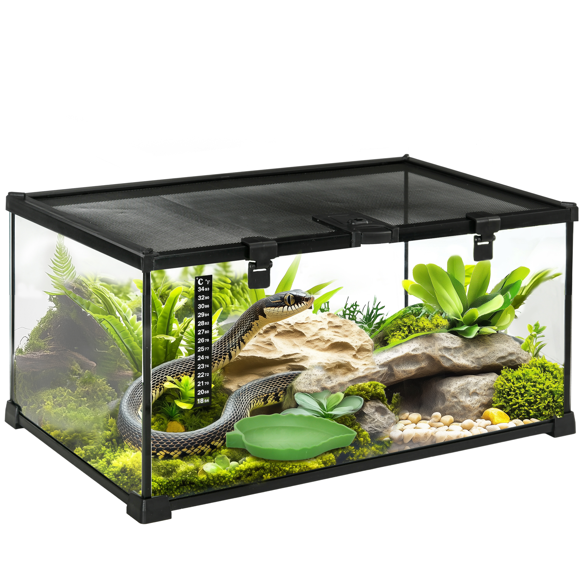 50 x 30 x 25 cm Reptile Glass Terrarium, Reptile Breeding Tank, Climbing pet Glass Containers, Arboreal Box, with Strip Patch Thermometer-Black - Life