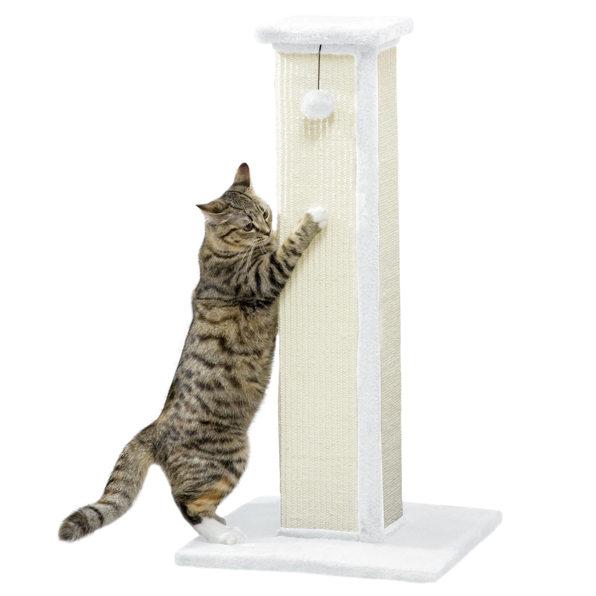 PAWSTER 81cm Cat Scratcher, Vertical Full Scratcher w/ Natural Sisal Rope, Hanging Ball, Soft Plush - White - Life Essentials