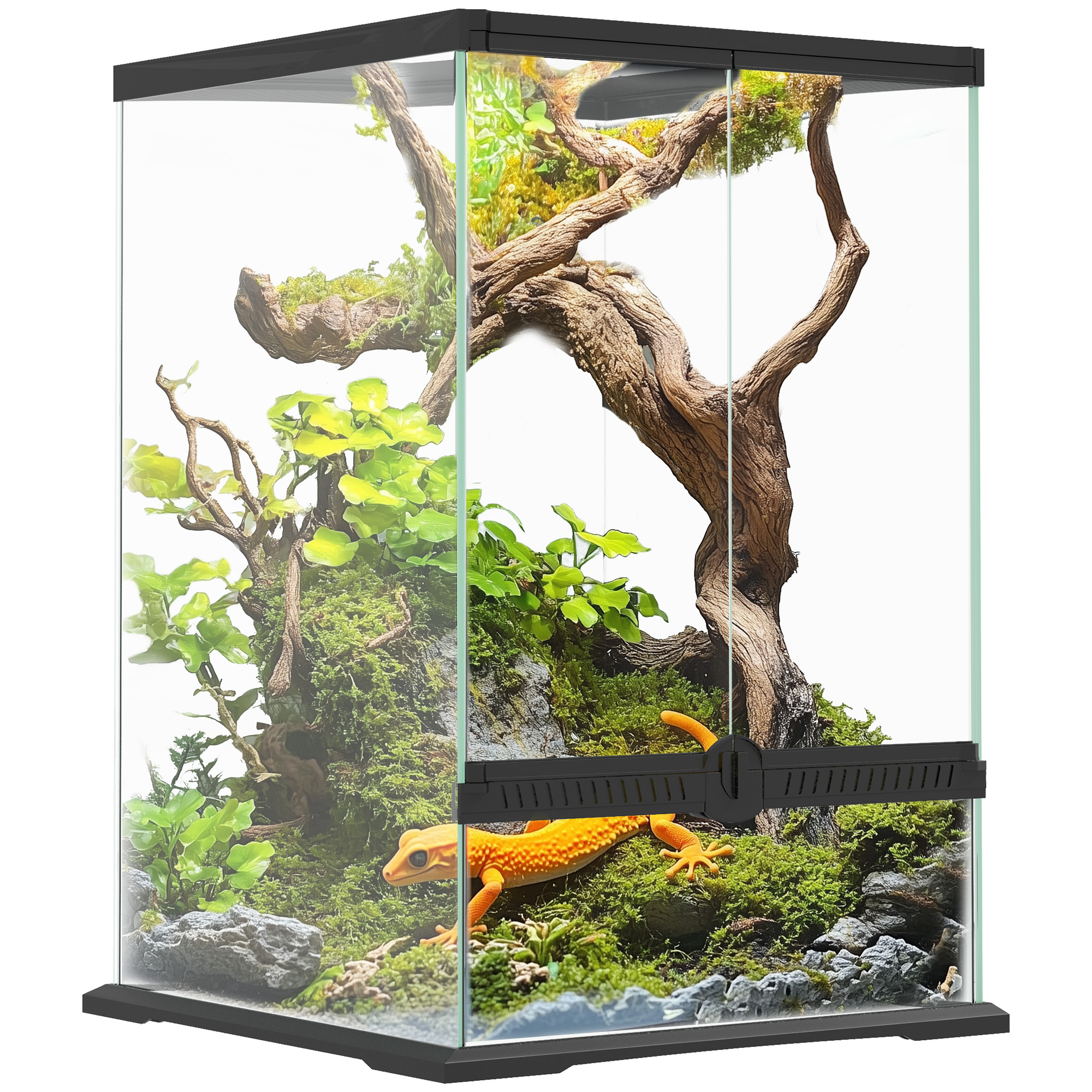 Shelley 40L Vivarium for Lizards Frogs Snakes with Anti Escape Design Ventilation - Black - Life Essentials
