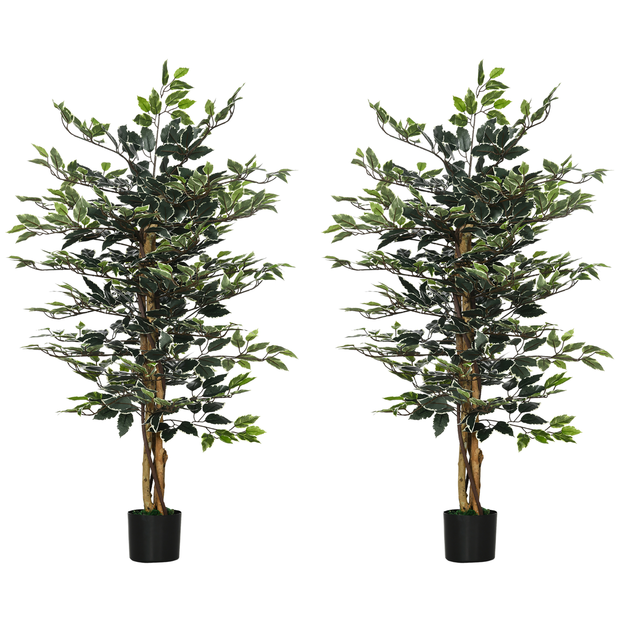 Artificial Ficus Trees - Tall - Set of 2 - Life Essentials