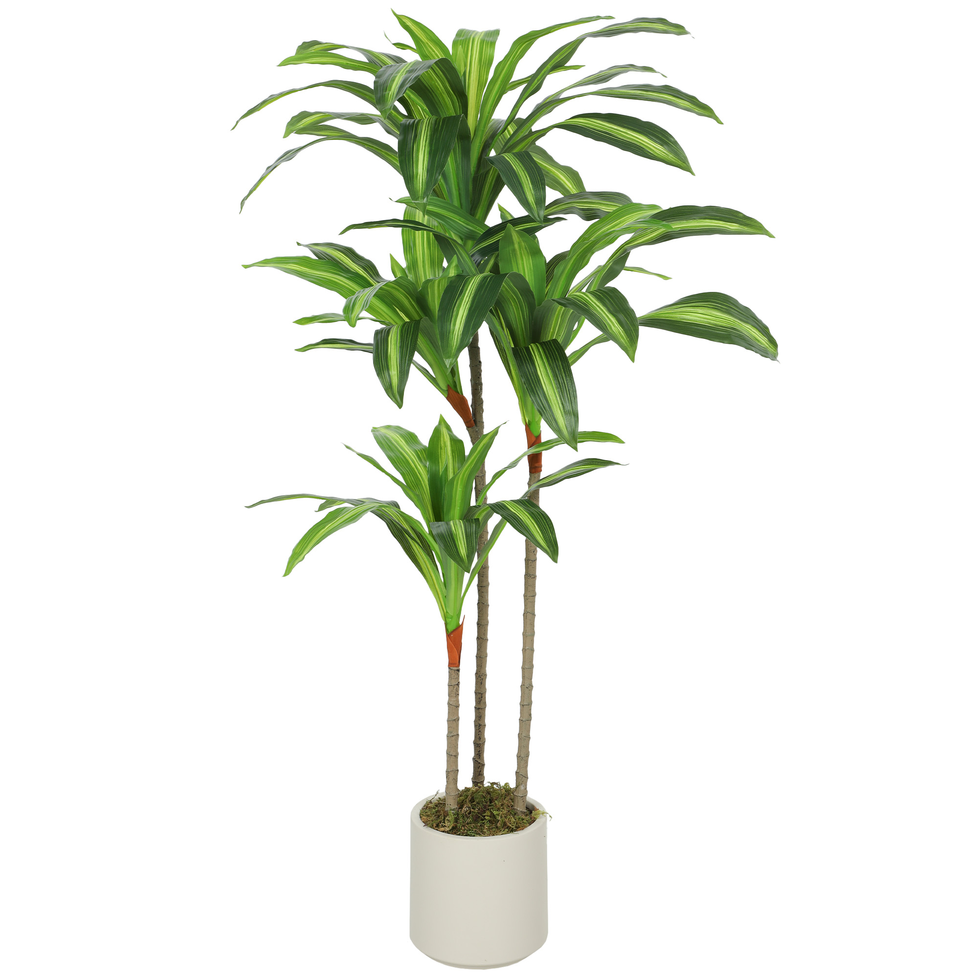 MONARA PEVA Artificial Dracaena Tree - Green - Life Essentials