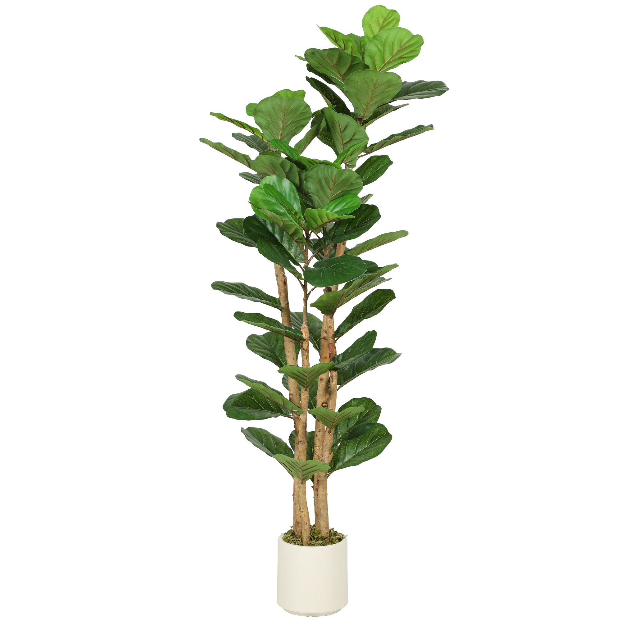 UMBLUX PEVA Artificial Fiddle Leaf Fig Tree - Green, 50cm - Life Essentials