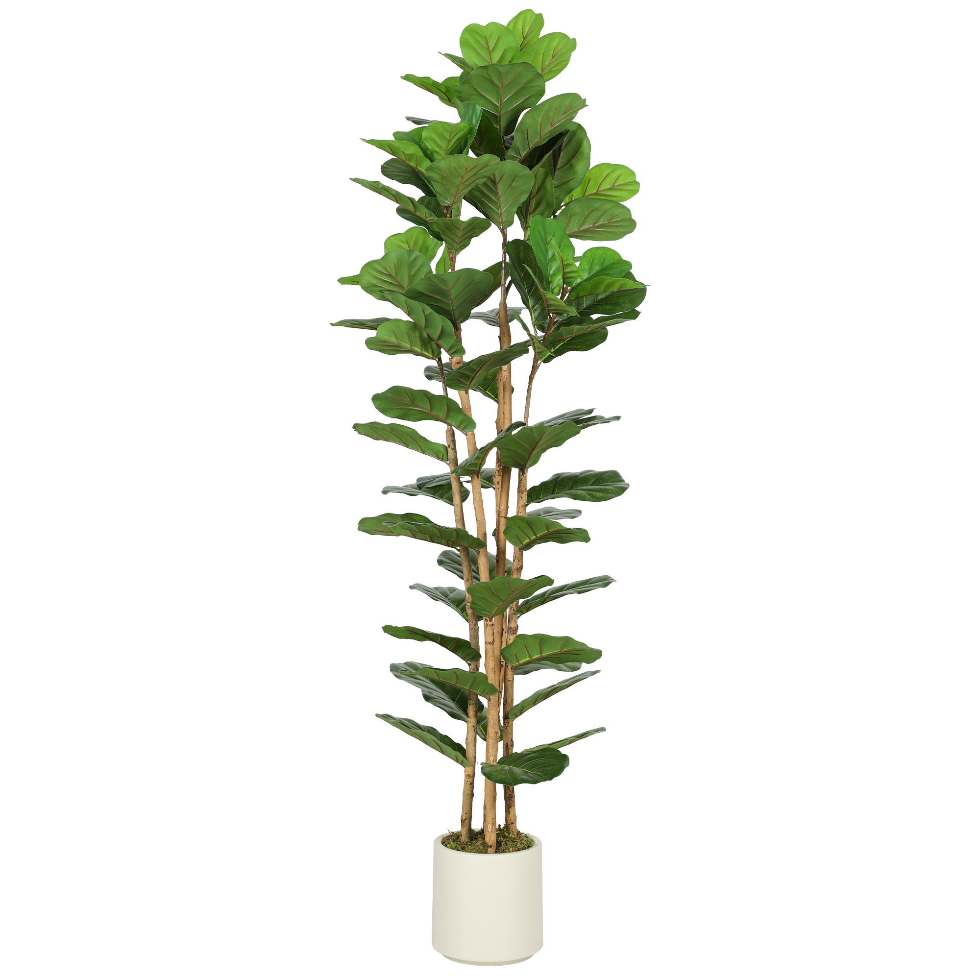 UMBLUX PEVA Artificial Fiddle Leaf Fig Tree - Green, 55cm - Life Essentials