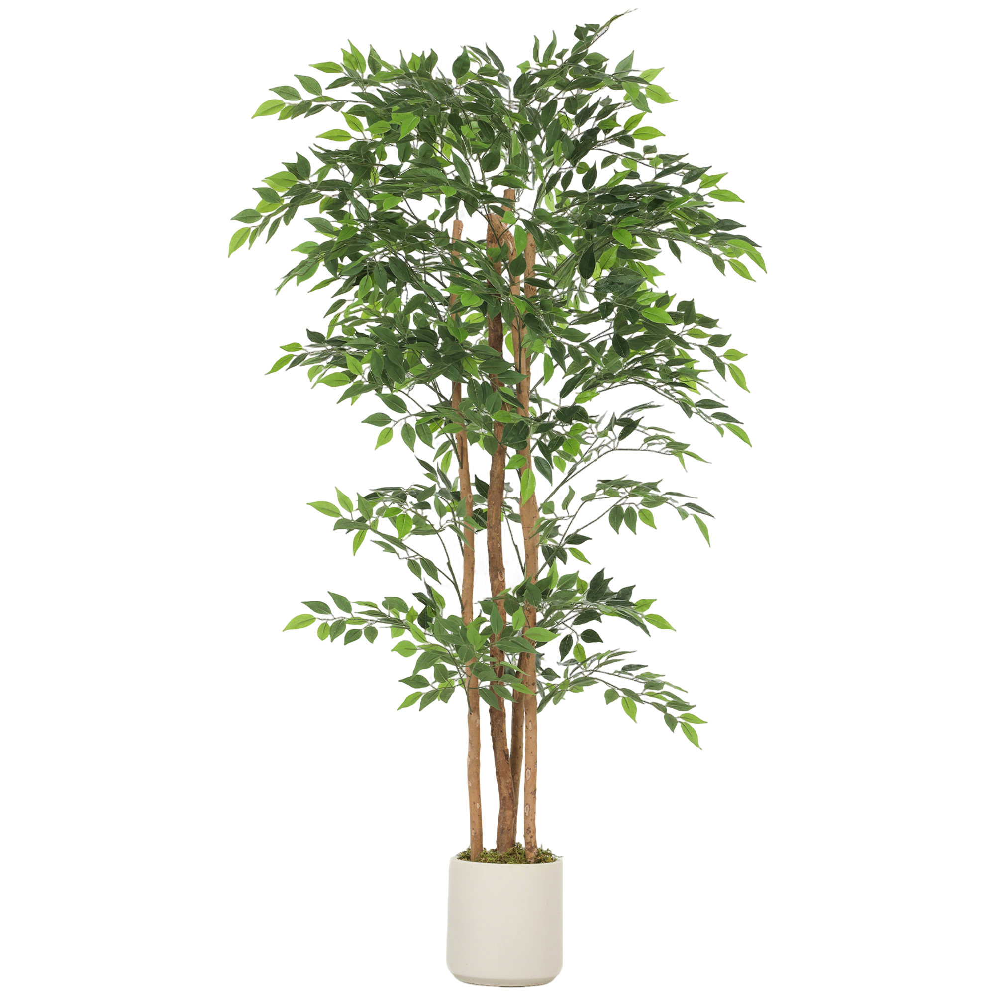 RAVYOR 180 cm Artificial Ficus Tree with Solid Wood Trunk and Pot - Green and White - Life Essentials