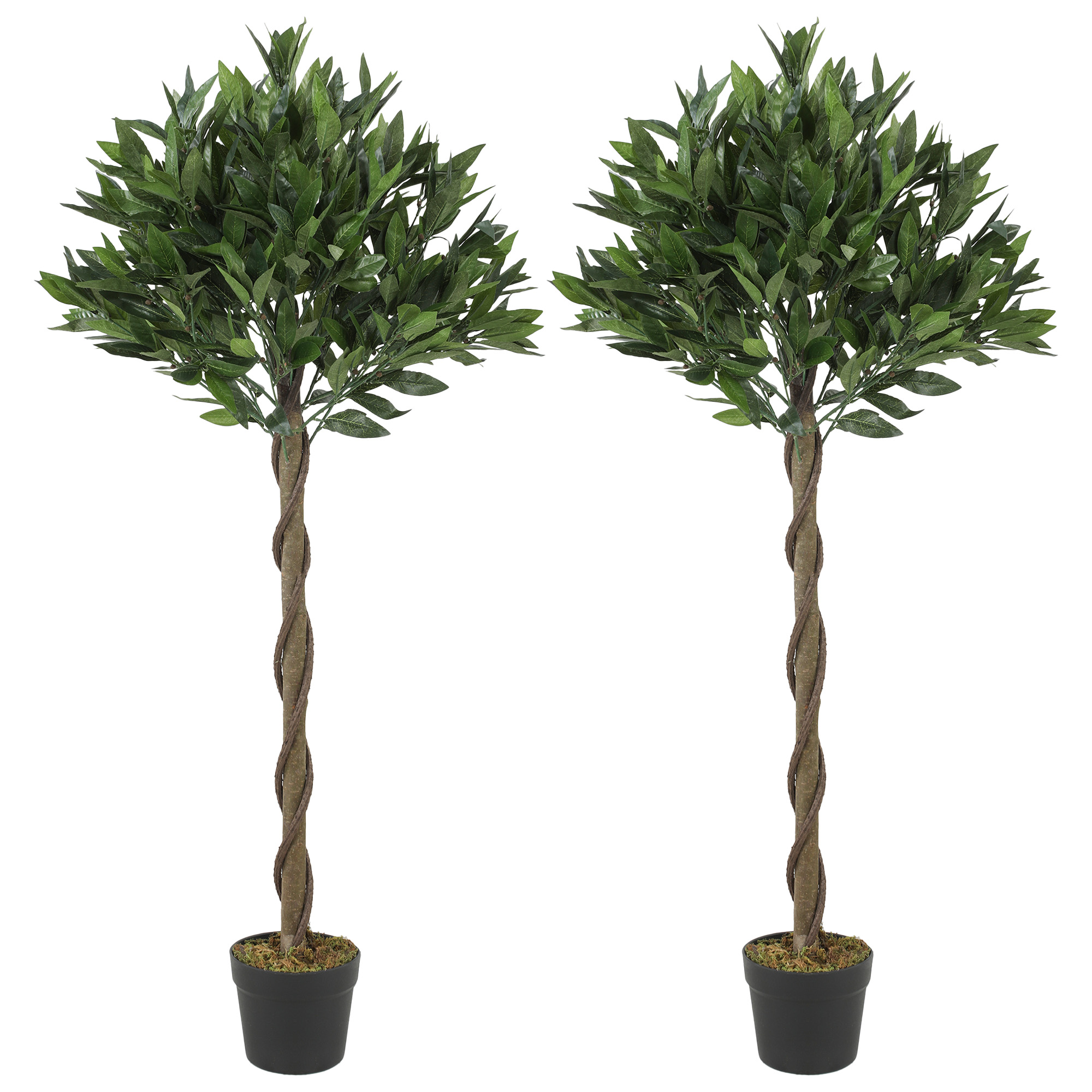 GILLINGHAM Set of 2 Artificial Bay Laurel Topiary Trees with Twisted Trunks and Weighted Pots - Green - Life Essentials
