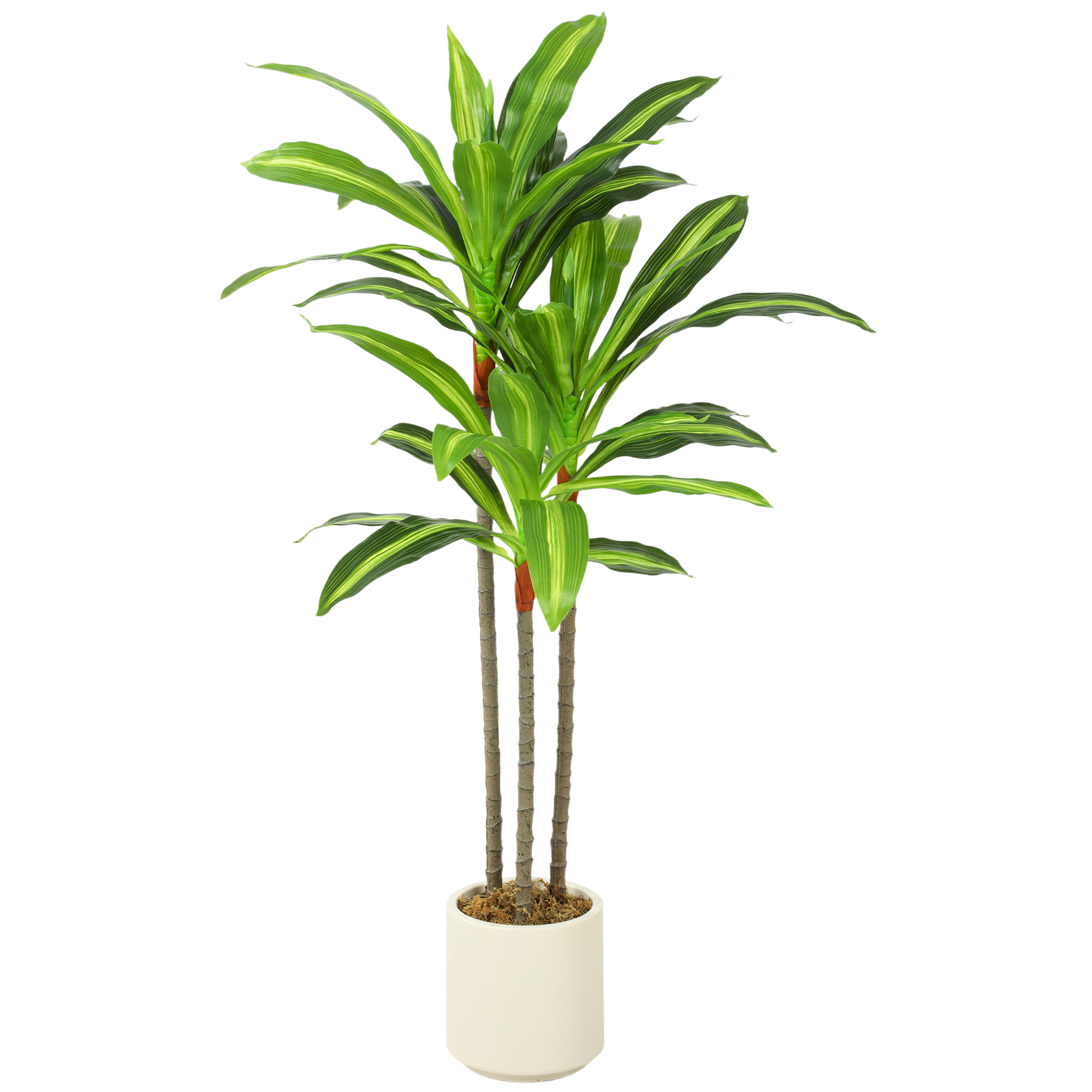 MONARA 90 cm Artificial Dracaena Tree with Lifelike Leaves and Bendable Trunks - Green - Life Essentials