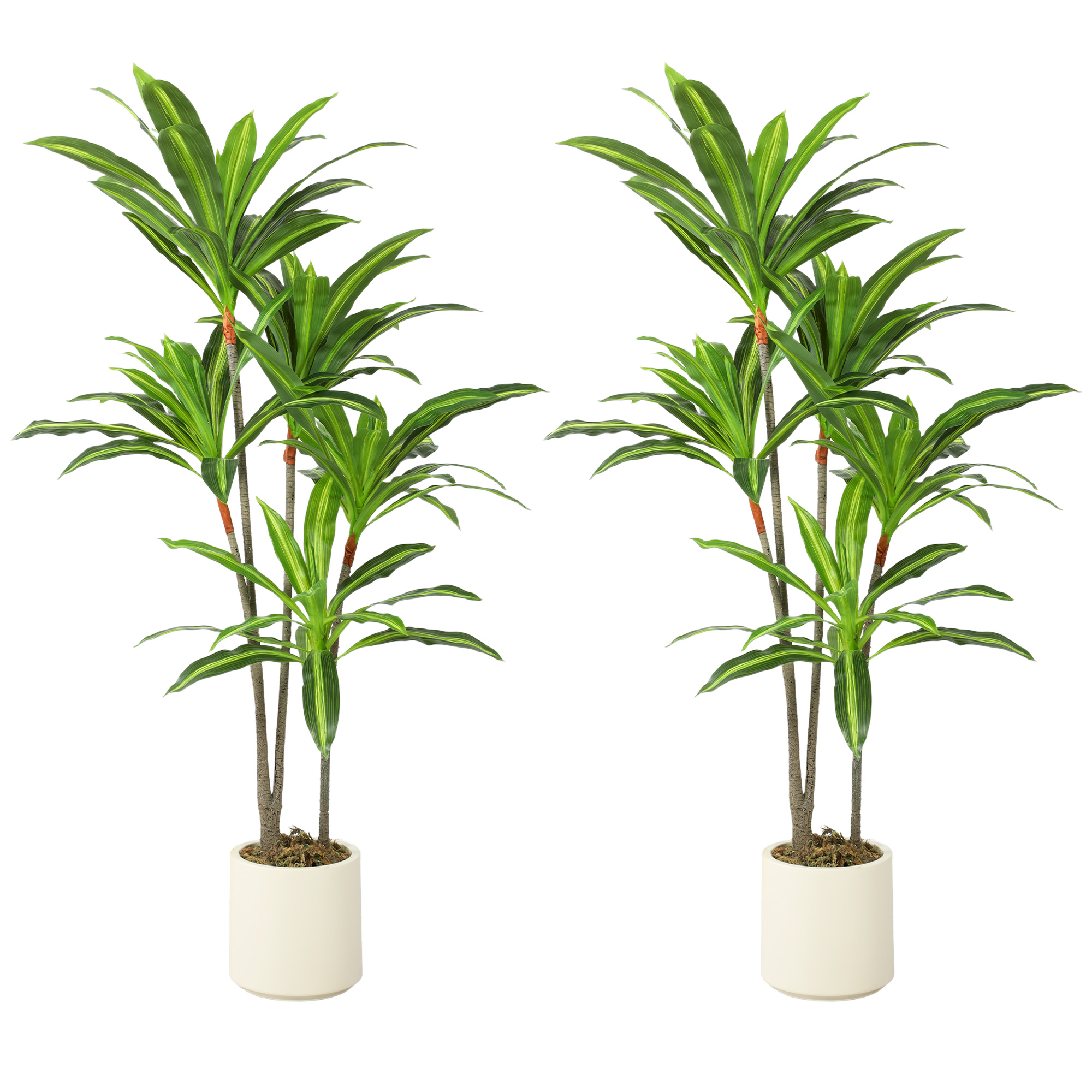 MONARA 150 cm Artificial Dracaena Tree with Bendable Trunks for Indoor Décor - Green - Life Essentials