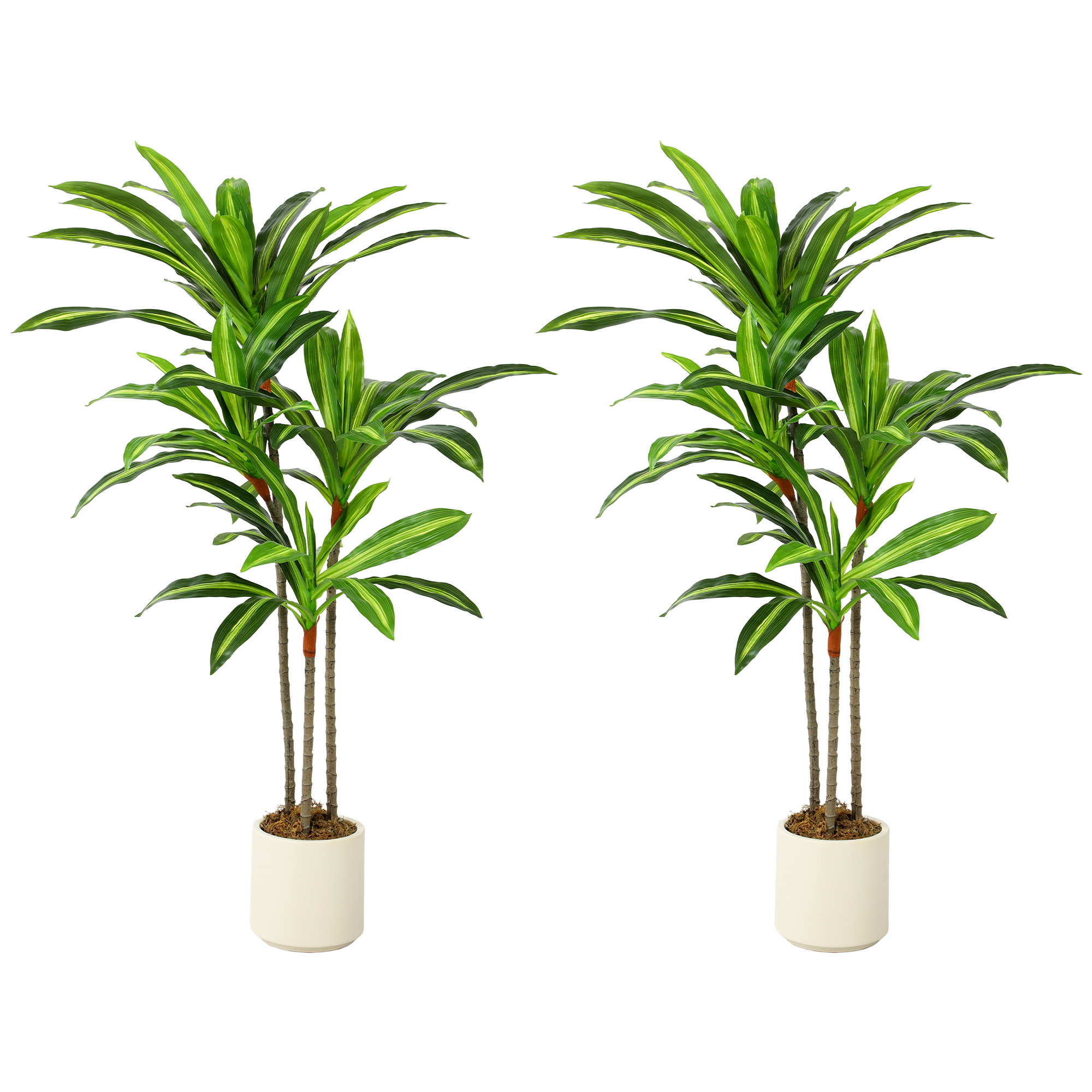 MONARA 120 cm Artificial Dracaena Tree with Lifelike Leaves and Bendable Trunks - Green - Life Essentials