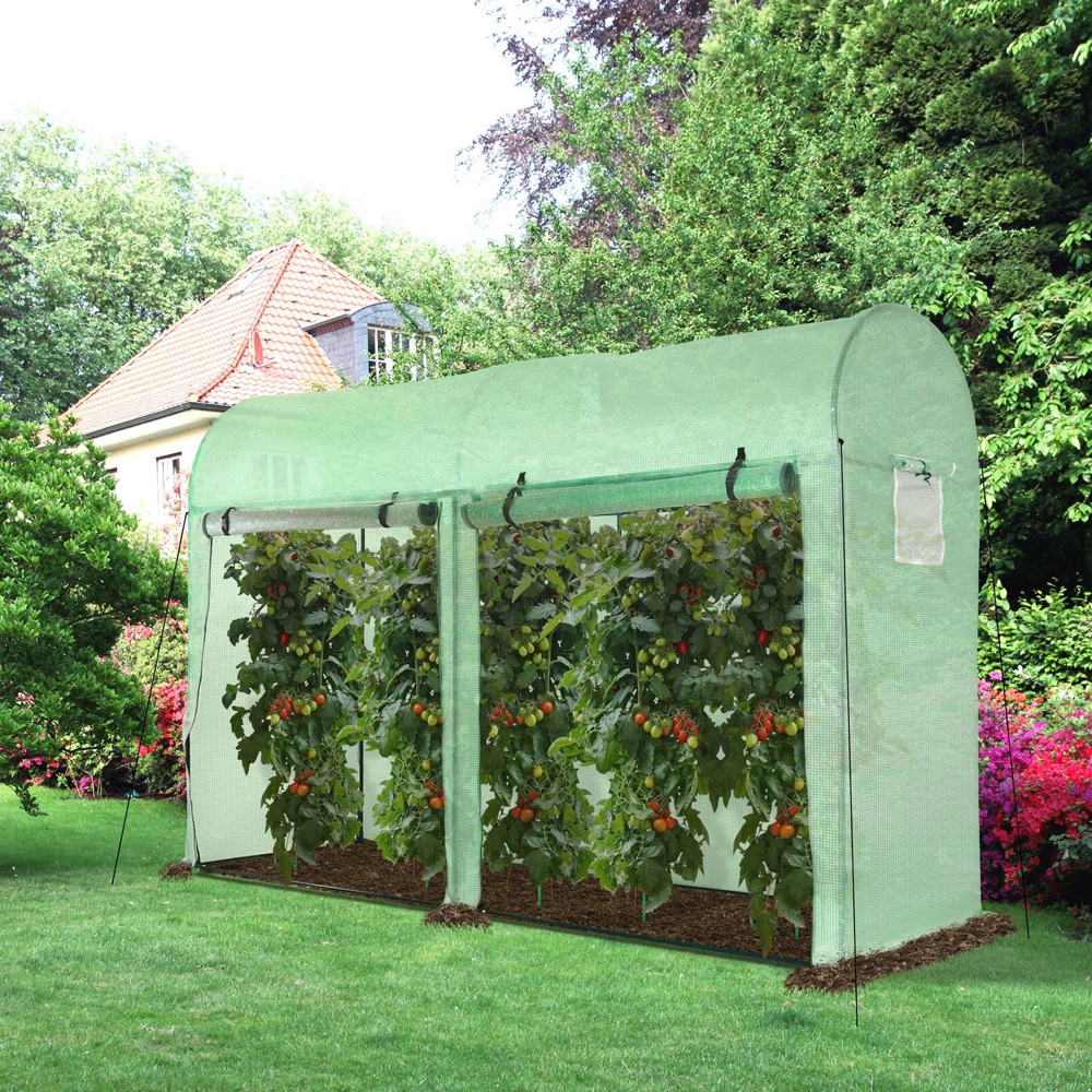 4 Windows Greenhouse Poly Tunnels With Double Doors - 3x1x 2M - Gardens Direct