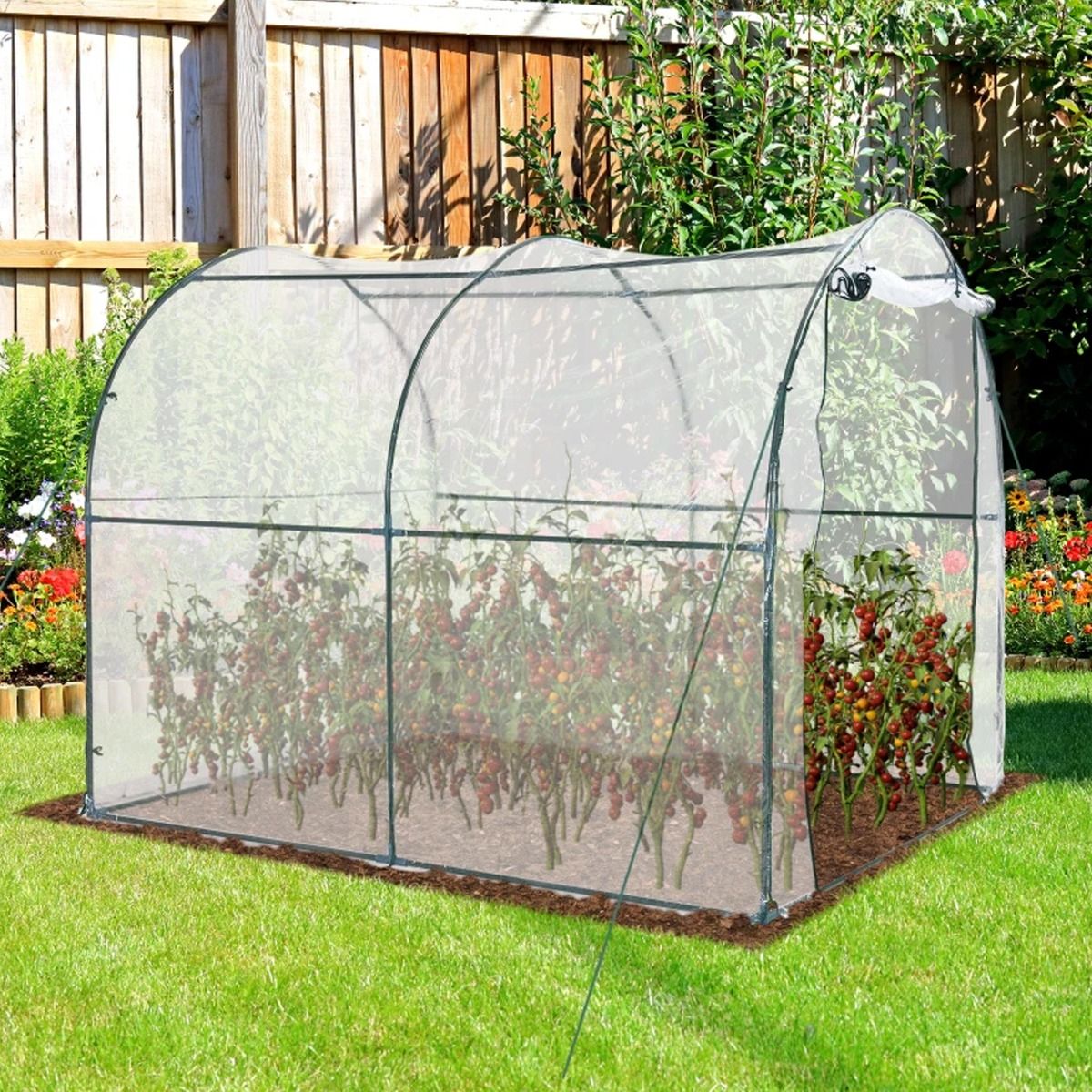 Steel Frame Walk in Transparent Greenhouse - Dark Green - The Garden Savant