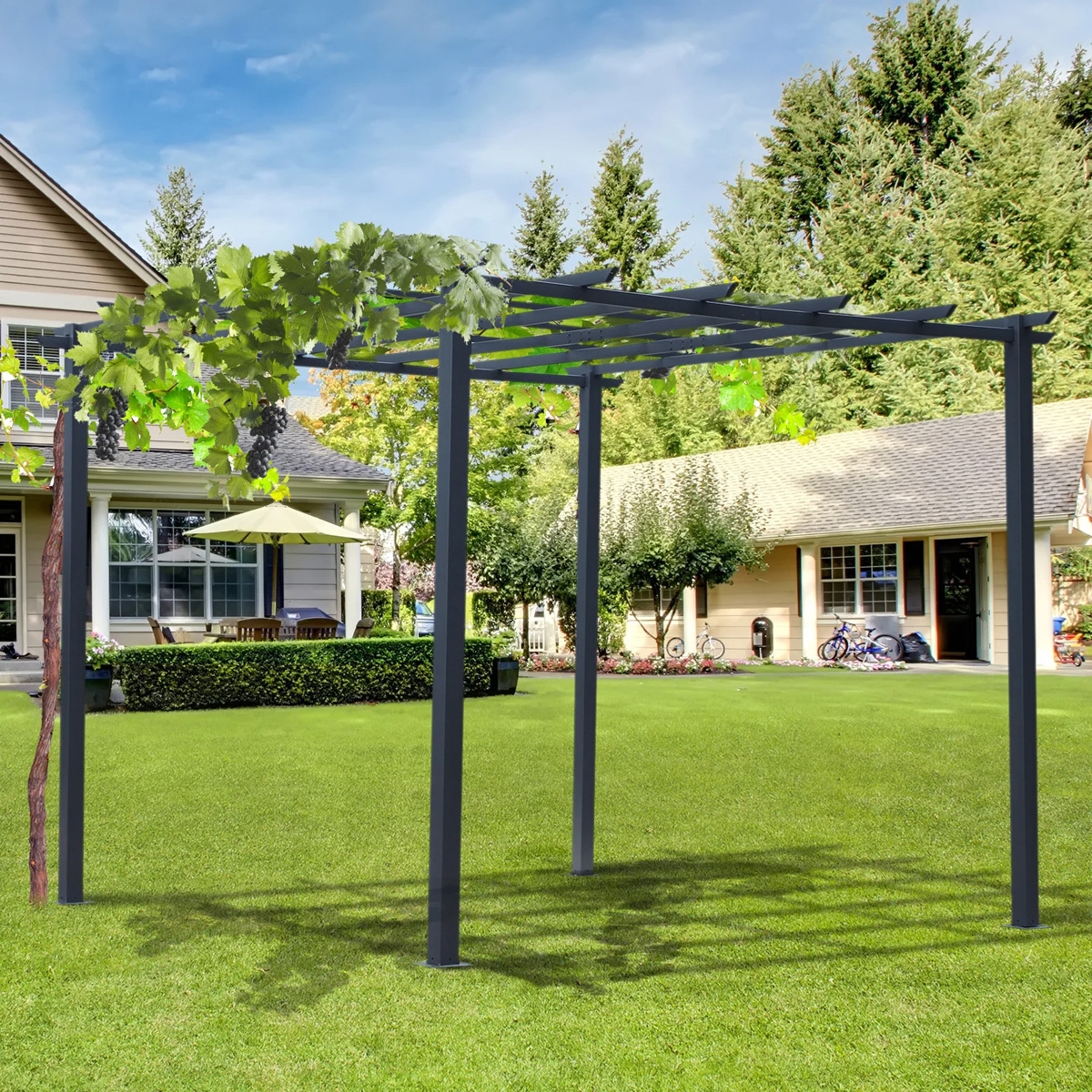 3x3m Metal Pergola - Black - The Garden Savant