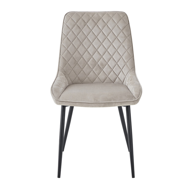 Ransley Mink Velvet Upholstered Dining Chairs - Set of 2 - Vantage Point