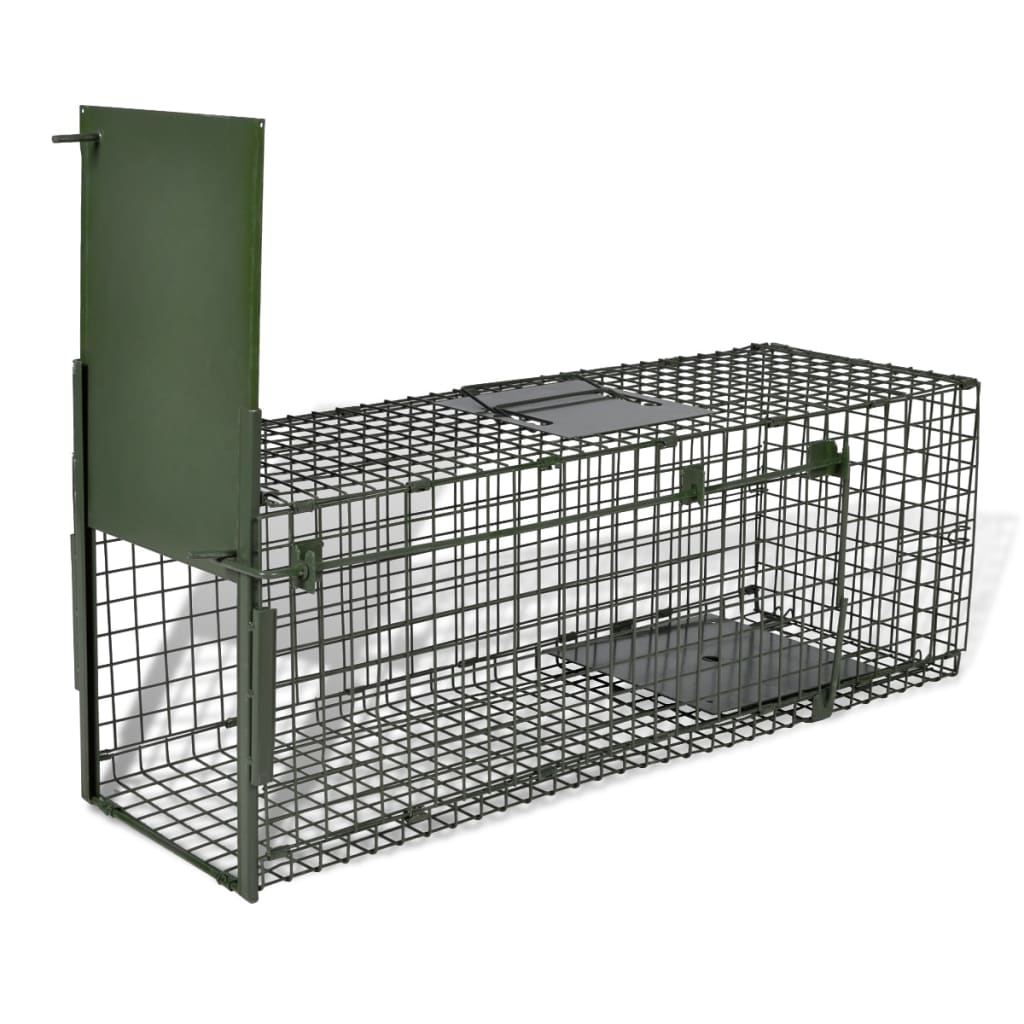 Life Trap with 1 Door - Decor Base