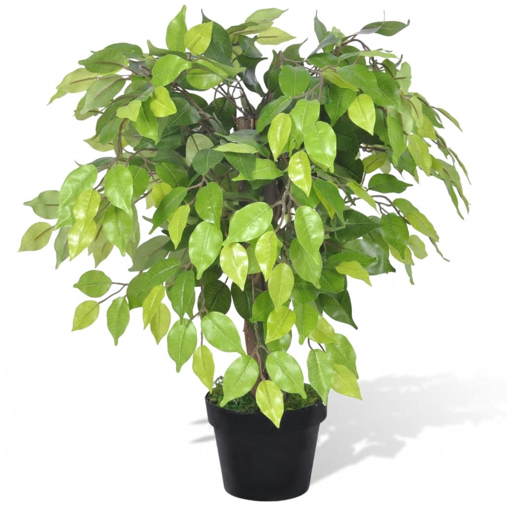 Artificial Dwarf Ficus with Pot 60 cm - Unbeatable Bargains