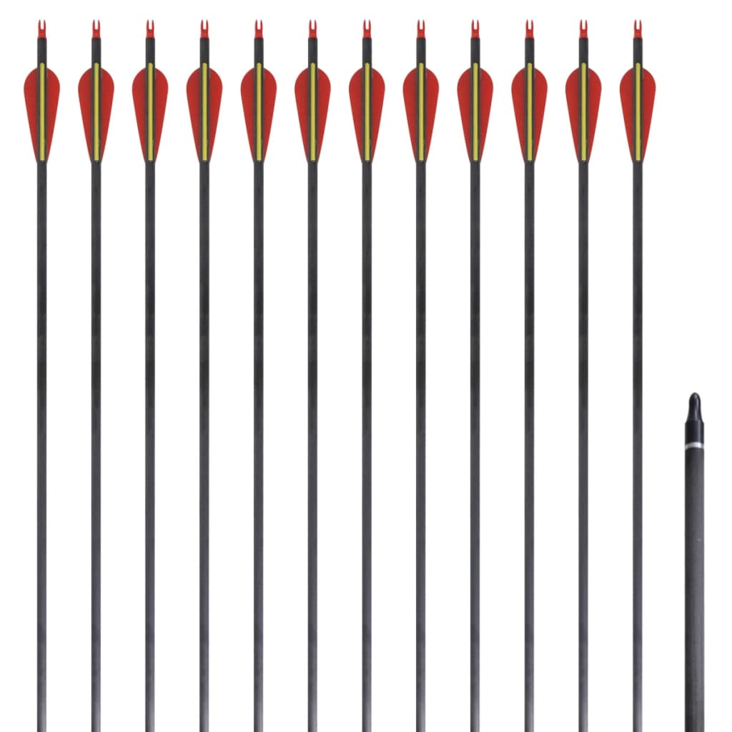Standard Recurve Bow Arrows 30" 0.76 cm Carbon 12 pcs - Unbeatable Bargains