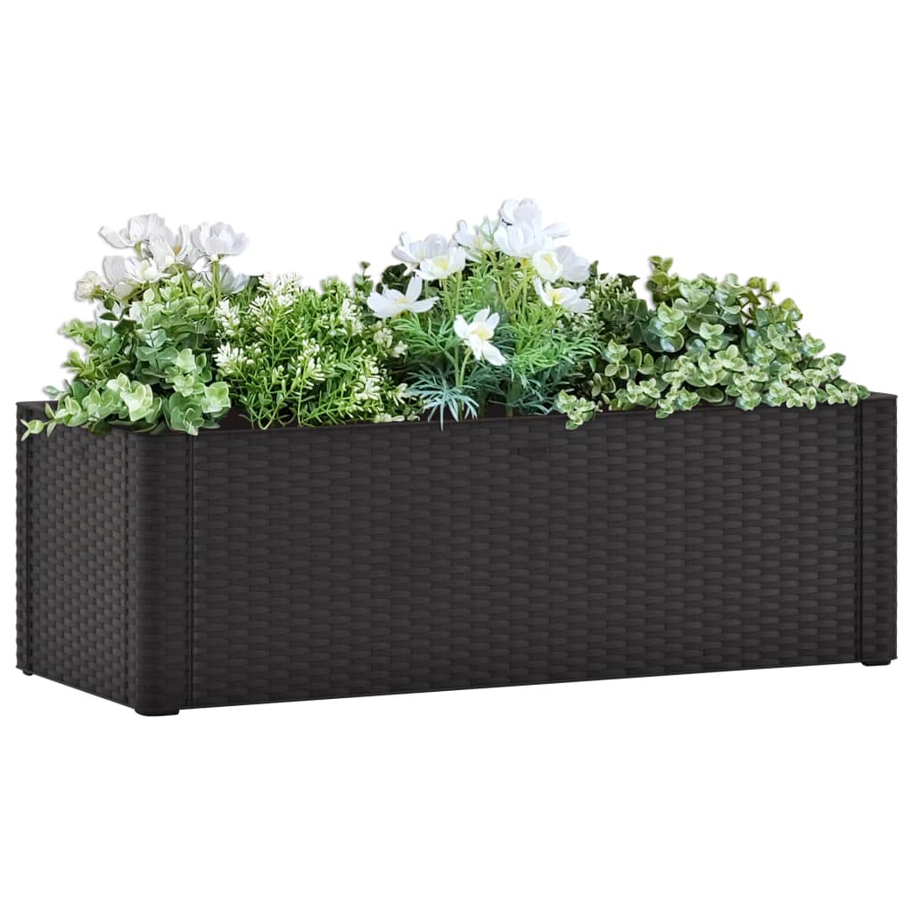 Garden Raised Bed with Self Watering System Anthracite 100x43x33 cm - Millennium Furniture
