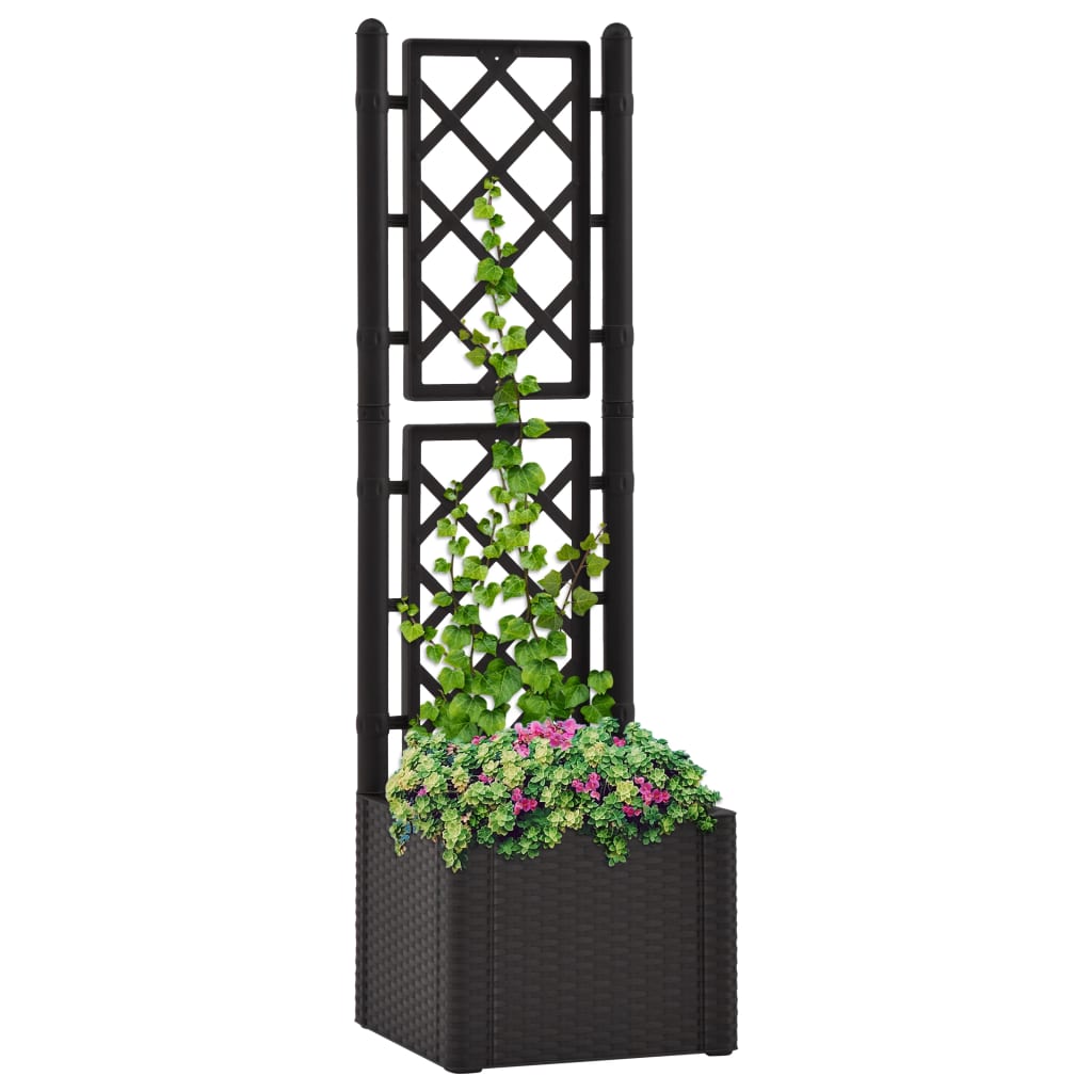 Garden Raised Bed with Trellis and Self Watering System Anthracite - Decor Base