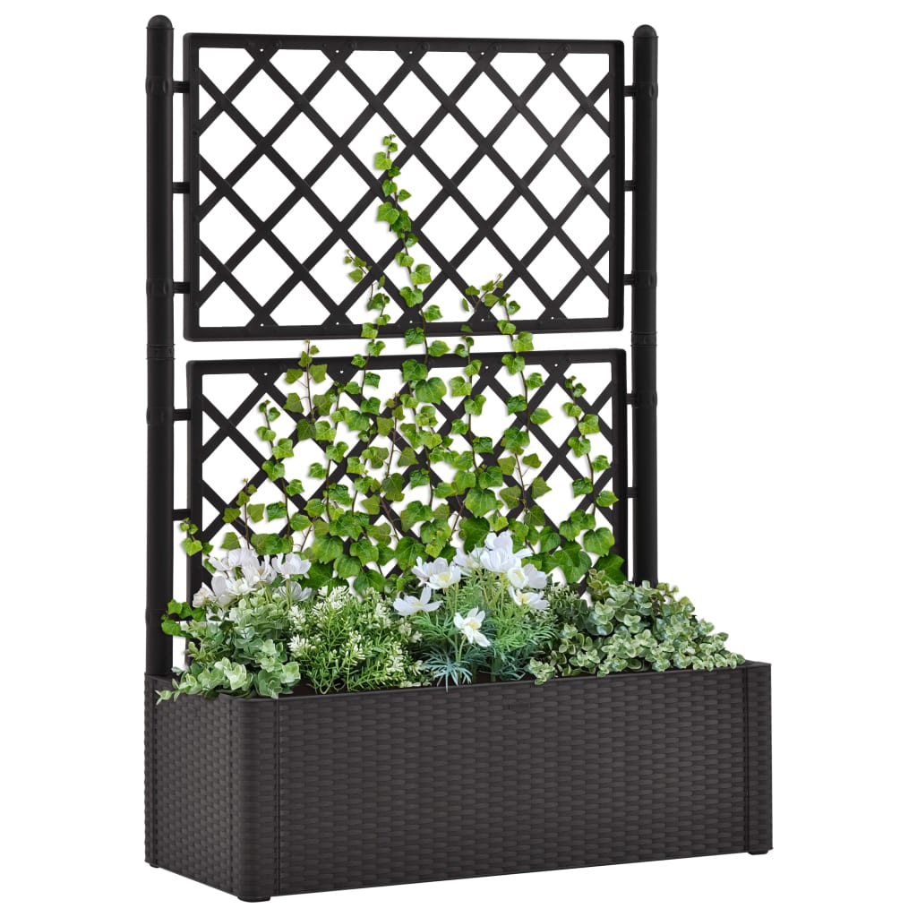 Garden Raised Bed with Trellis and Self Watering System Anthracite - Style and Chic