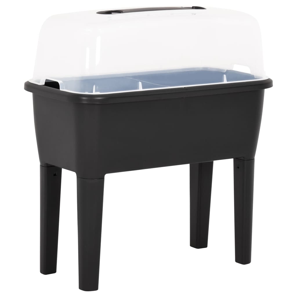 Raised Bed 77x38.7x82 cm PP - Sid & Sam