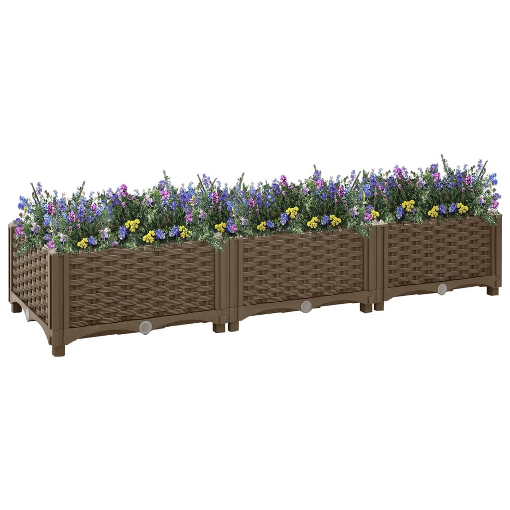 Raised Bed 120x40x23 cm Polypropylene - Brittle & Co