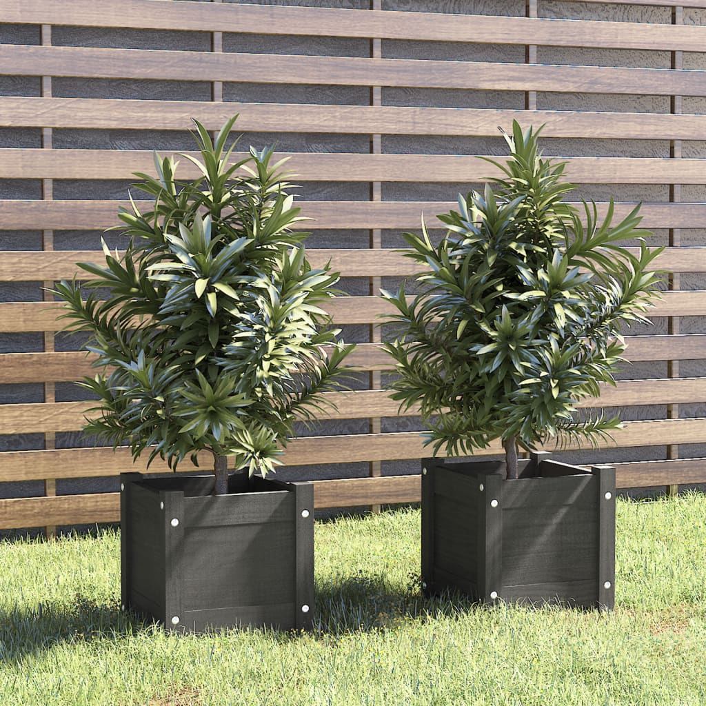 Garden Planters 2 pcs Grey 31x31x31 cm Solid Pinewood - R and M Furniture