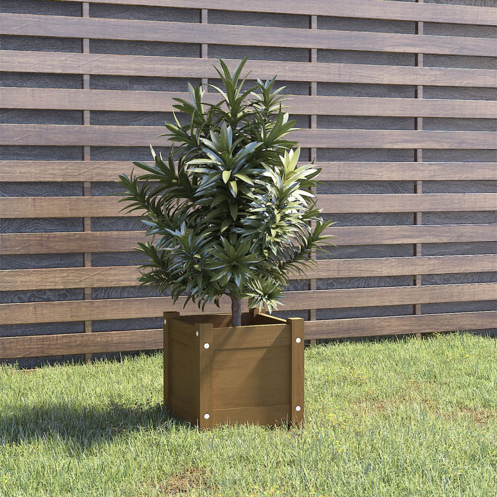 Garden Planter Honey Brown 31x31x31 cm Solid Pinewood - Tyrell & Tyrell