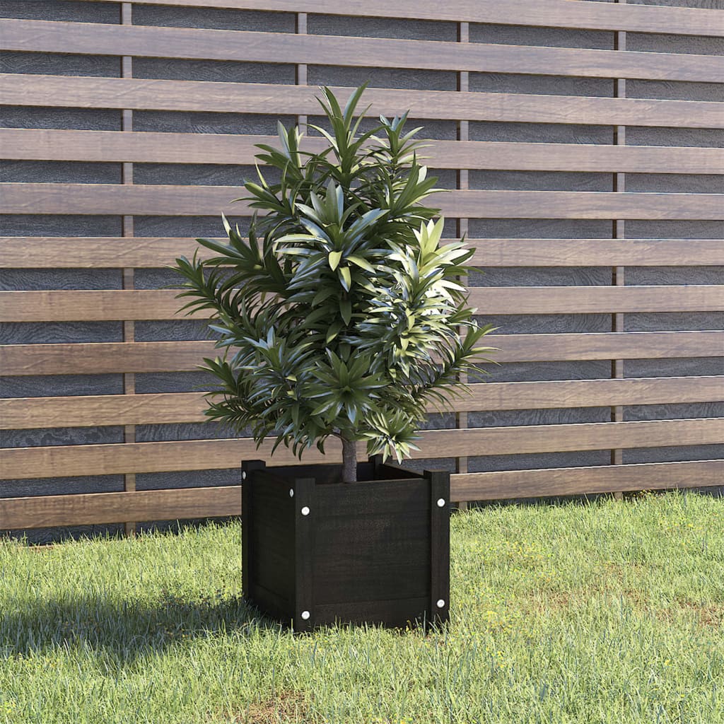 Garden Planter Black 31x31x31 cm Solid Pinewood - Design Hut