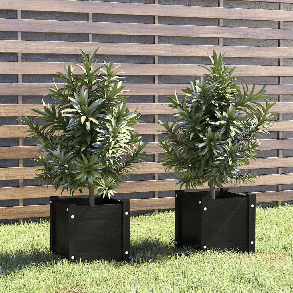Garden Planters 2 pcs Black 31x31x31 cm Solid Pinewood - R and M Furniture