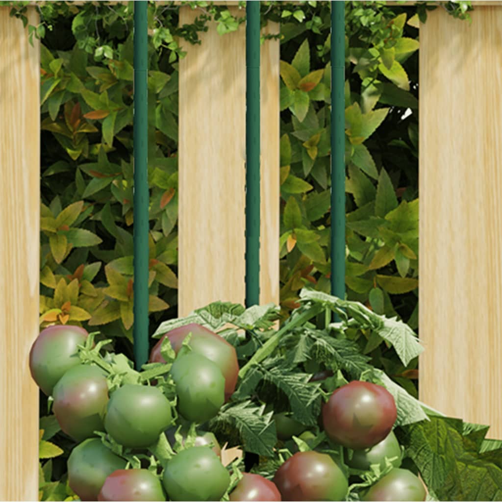 Garden Plant Stakes 30 pcs Green 60 cm Steel - Merlin Deals