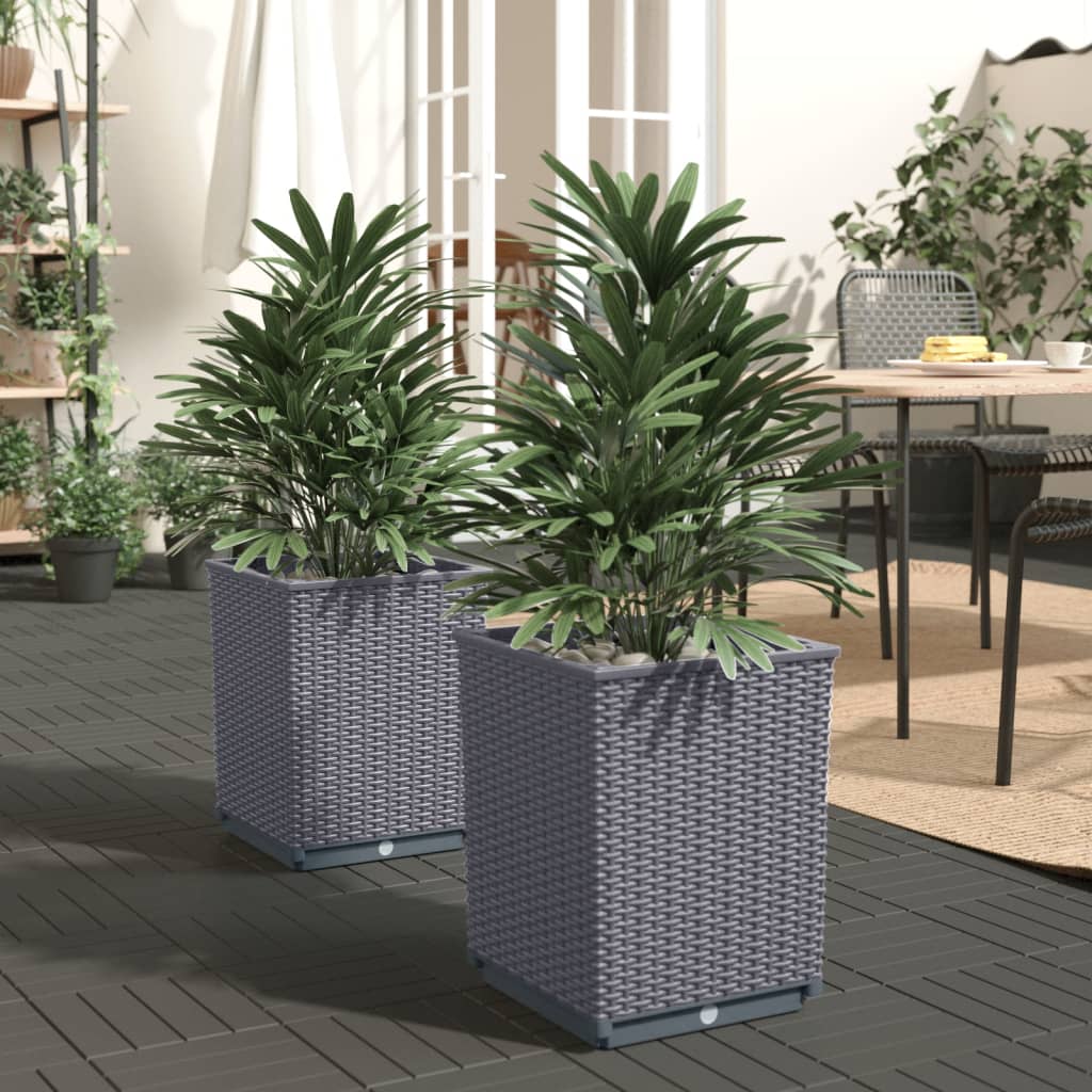 Planters 2 pcs Dark Grey 30x30x37 cm Polypropylene - Tyrell & Tyrell