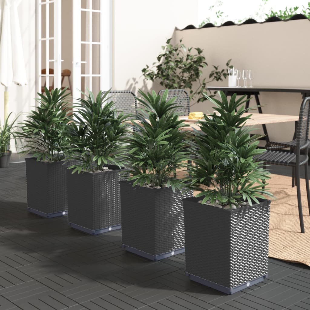 Planters 4 pcs Black 30x30x37 cm Polypropylene - Sid & Sam