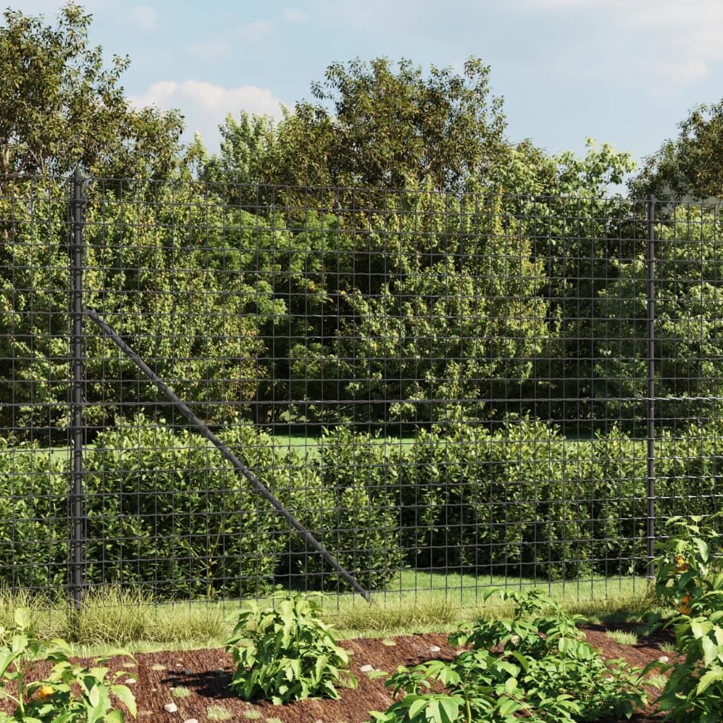 Wire Mesh Fence Anthracite 2x25 m Galvanised Steel - Tyrell & Tyrell