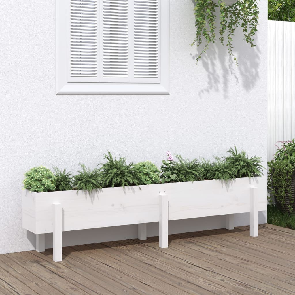 Garden Raised Bed White 160x30x38 cm Solid Wood Pine - Sid & Sam
