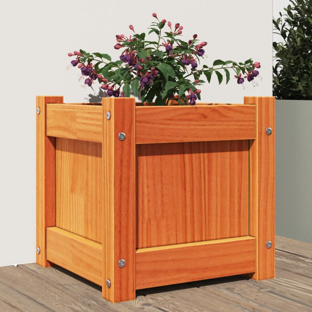 Garden Planter Wax Brown 31x31x31 cm Solid Wood Pine - Brittle & Co
