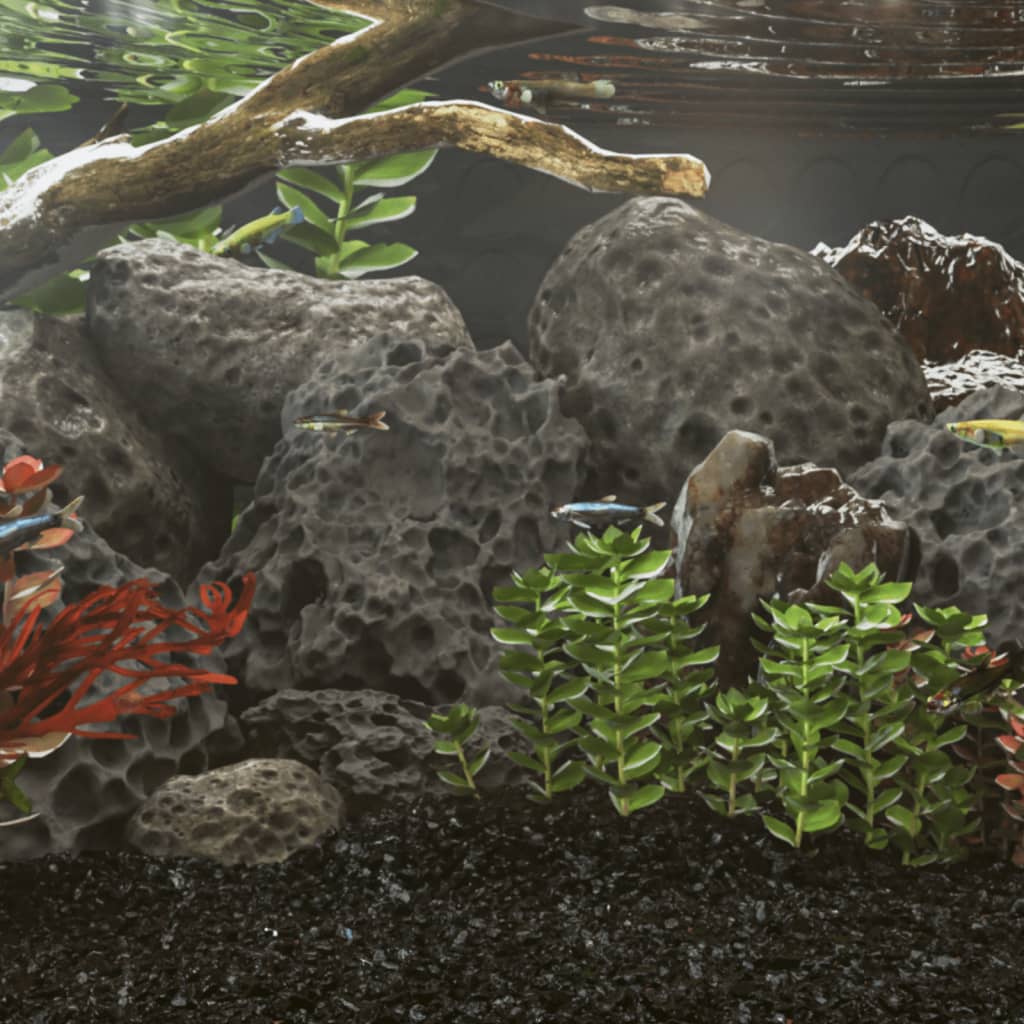 Volcanic Rocks 10 kg Black 10-30 cm - Tyrell & Tyrell