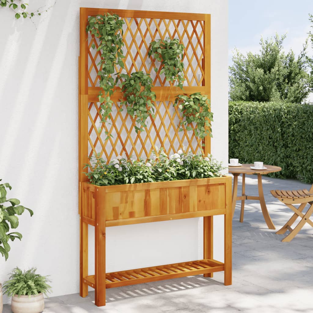 Planter with Trellis and Shelf 100x32x185 cm Solid Wood Acacia - Charlotte Dunes