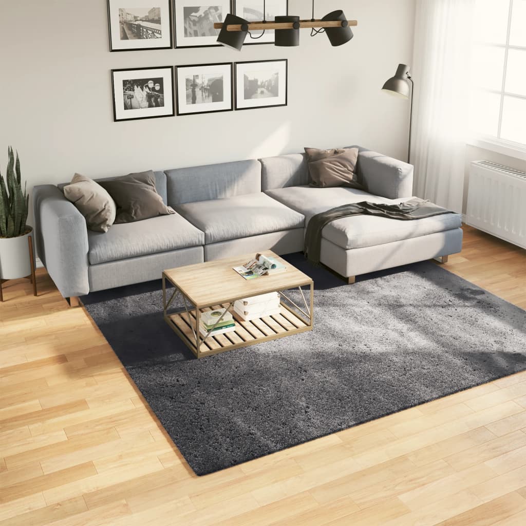 Rug Short Pile Soft and Washable Anthracite 240x240cm - Casper Homes